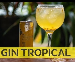 Gin Tropical