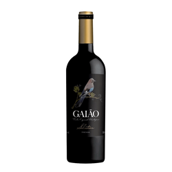 Gaião Selection - Portugal 